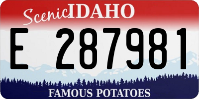 ID license plate E287981