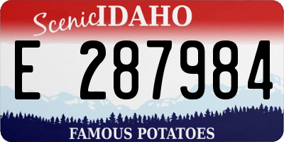 ID license plate E287984