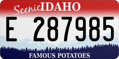 ID license plate E287985