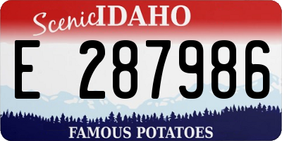 ID license plate E287986