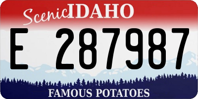 ID license plate E287987