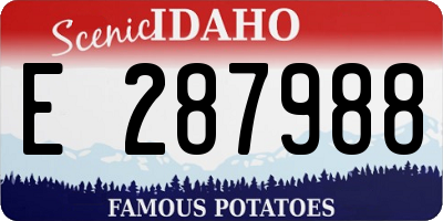 ID license plate E287988