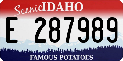 ID license plate E287989