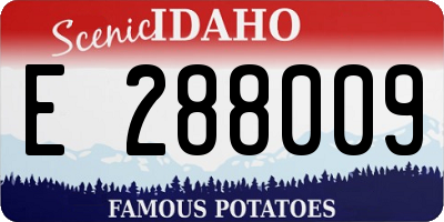 ID license plate E288009