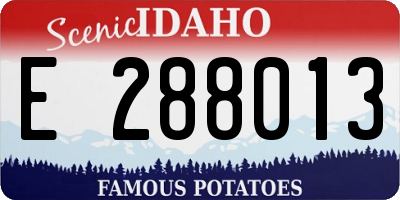 ID license plate E288013