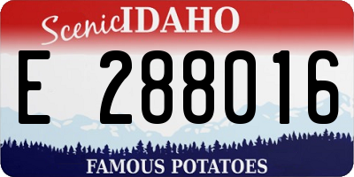 ID license plate E288016