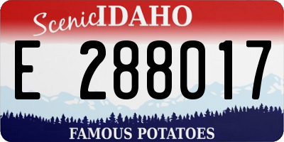 ID license plate E288017