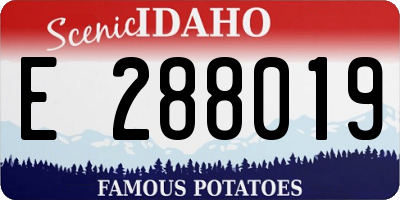 ID license plate E288019