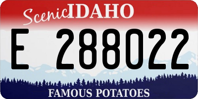 ID license plate E288022