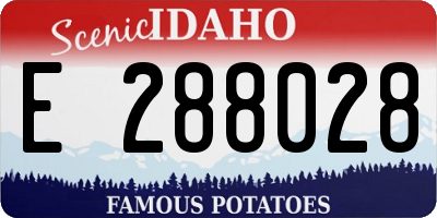 ID license plate E288028