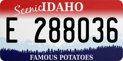ID license plate E288036