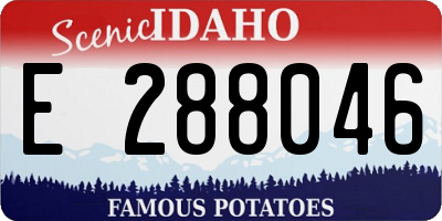 ID license plate E288046