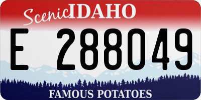 ID license plate E288049