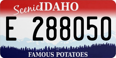 ID license plate E288050