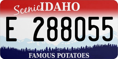ID license plate E288055