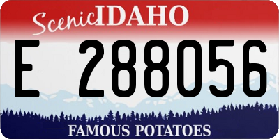 ID license plate E288056