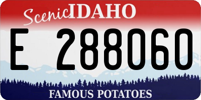ID license plate E288060