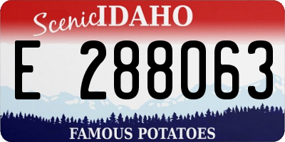 ID license plate E288063