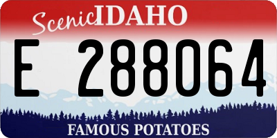 ID license plate E288064