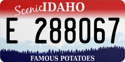 ID license plate E288067