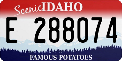 ID license plate E288074