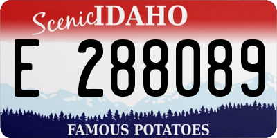 ID license plate E288089