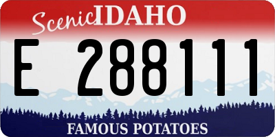 ID license plate E288111