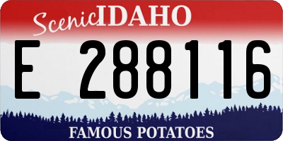 ID license plate E288116