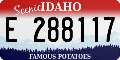 ID license plate E288117