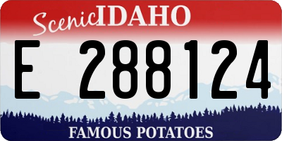 ID license plate E288124