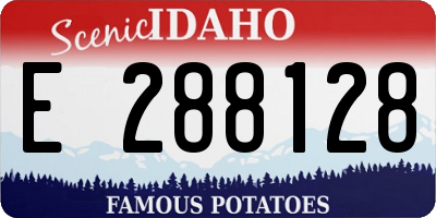 ID license plate E288128