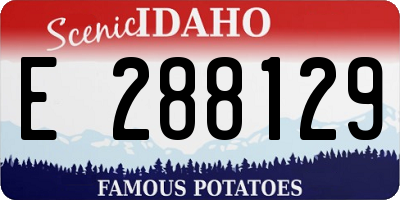 ID license plate E288129