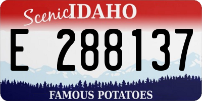 ID license plate E288137