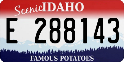 ID license plate E288143