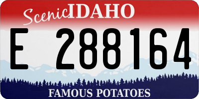 ID license plate E288164