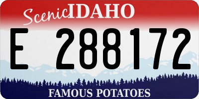 ID license plate E288172