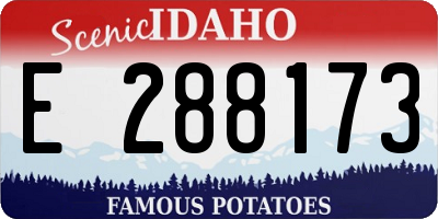 ID license plate E288173