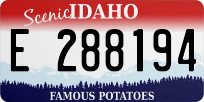 ID license plate E288194