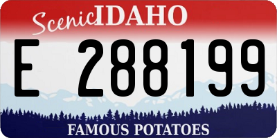 ID license plate E288199