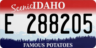 ID license plate E288205