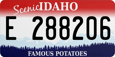ID license plate E288206