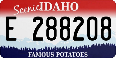 ID license plate E288208