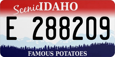 ID license plate E288209