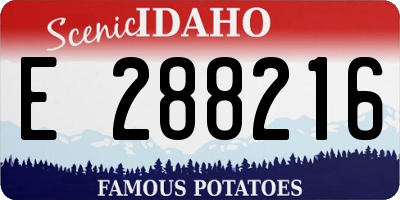 ID license plate E288216