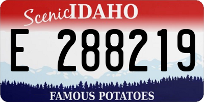ID license plate E288219