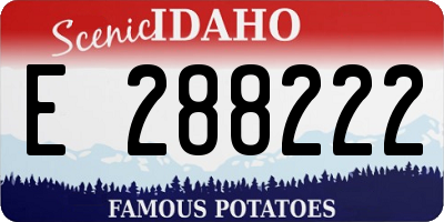 ID license plate E288222