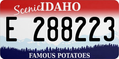 ID license plate E288223
