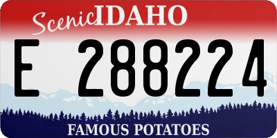 ID license plate E288224