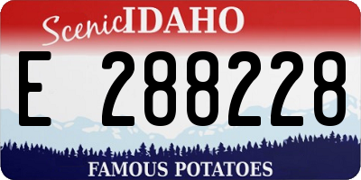 ID license plate E288228