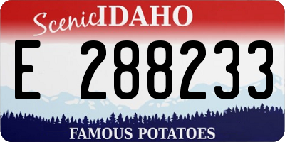 ID license plate E288233